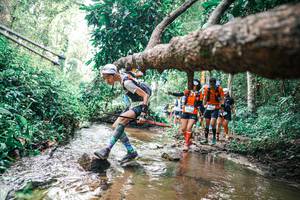 BIB: 
                            <button type="button" onclick="openModal(25375345)" class="btn btn-primary btn-sm float-right btn-popup" data-toggle="modal" data-target=".modal-high-quality">
                        <i class="fas fa-shopping-cart"></i> Add to Cart
                    </button>
                                            <button type="button" onclick="isThisMe(25375345, true)" class="btn btn-success btn-sm float-right btn-popup btn-isme hidden" data-toggle="tooltip" data-placement="bottom" title="นี่คือรูปของคุณใช่ไหม คลิกที่นี่เพื่อเอาเข้าอัลบั้ม">
                        <i class="fas fa-plus"></i> Add to album
                    </button>
                    <button type="button" onclick="isThisMe(25375345, false)" class="btn btn-warning btn-sm float-right btn-popup btn-isnotme hidden">
                        <i class="fas fa-ban"></i> Remove from album
                    </button>